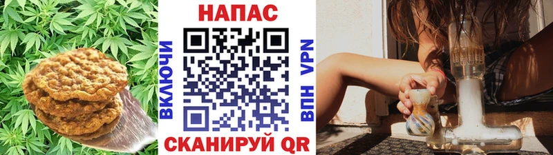Cannafood конопля  Олёкминск 