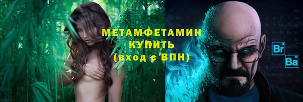 сатива Гусь-Хрустальный