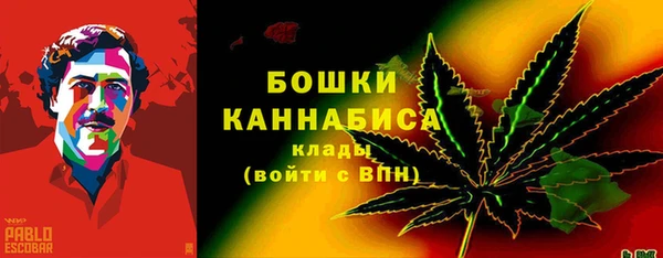 бутират Гусев