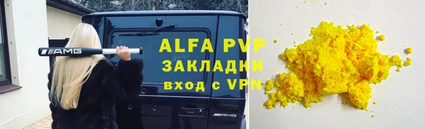 сатива Гусь-Хрустальный