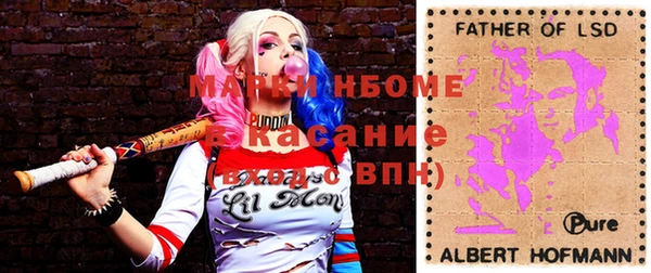 сатива Гусь-Хрустальный