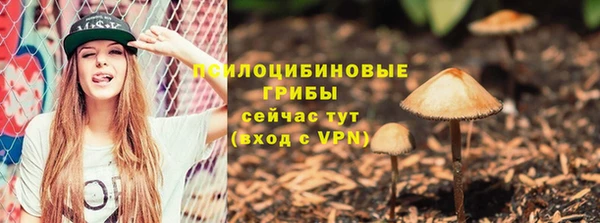 сатива Гусь-Хрустальный