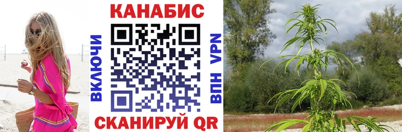купить наркотик ссылка на мегу Каннабис Bruce Banner Олёкминск